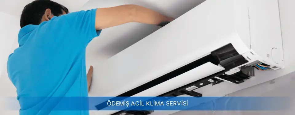 Ödemiş İlçemi York Acil Klima Servisi