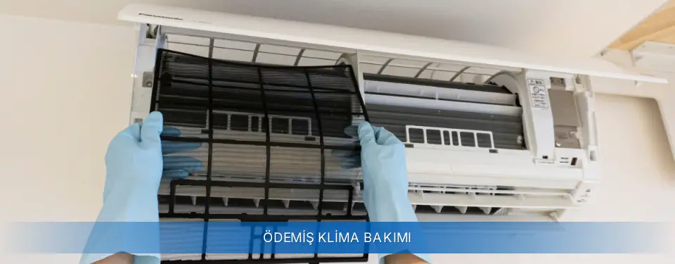 Ödemiş İlçemi York Klima Bakımı
