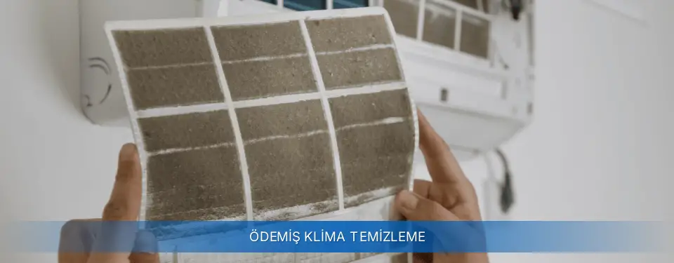 Ödemiş İlçemi York Klima Temizleme